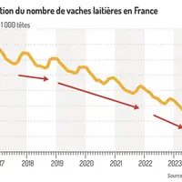 La baisse du cheptel bovin s’accélère en France