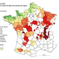 Arvalis recommande de commencer les récoltes suffisamment tôt pour éviter de finir à des taux de matière sèche trop élevés et d’altérer la qualité des