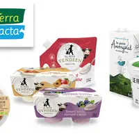 Les marques de produits laitiers Terra Lacta