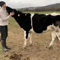 Jessy Trémoulière sur la ferme familiale de Haute-Loire.