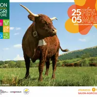 Affiche vache salers du salon de l'agriculture