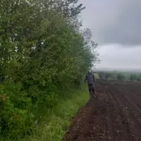 Christophe Vidal, éleveur dans le Cantal, devant sa haie