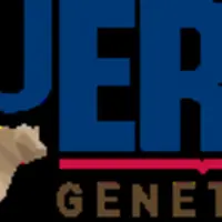 Bovec : NuEra Profit, un index pour optimiser ses croisements viande