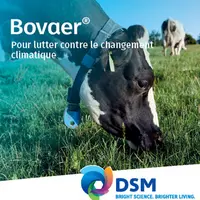 DSM nutritional products : Bovaer®10, un supplément alimentaire pour réduire les émissions de méthane entérique