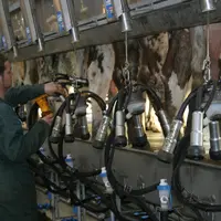 traite par l'arrière TPA BouMatic en 2005
