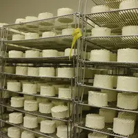 fromages en blanc en salle d'affinage