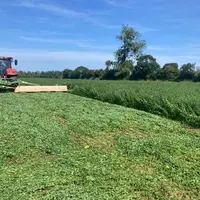 L'année climatique a été favorable à l'implantation de la prairie temporaire et sur toute la campagne.