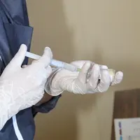 Santé animale, seringue. produit vétérinaire. protection sanitaire