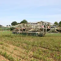 Epandage de lisier sur maïs avec une rampe à pendillards. Fertilisation des cultures. Recyclage des effluents d'élevage. Apport d'azote. (Reportage ch