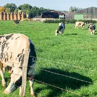 Valoriser l’herbe d’automne pour maîtriser ses charges en élevage laitier