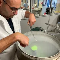 cuve d'azote pour stocker des paillettes de taureaux