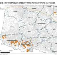 carte des foyers de MHE dans le sud-Ouest de la France