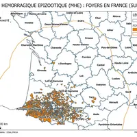Carte des foyers de MHE en France au 9 novembre