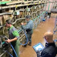Traite : Quand les tests traquent les anomalies au plus près du trayon