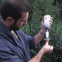 Bovins lait / vétérinaire / prélèvement dans un flacon d'antibiotique