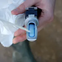 Bovins lait. Elevage laitier. Mesure de la qualité du colostrum à l'aide d'un réfractomètre. Diagnostic réalisé par le GDS (Groupement de défense sani