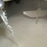 Bovins lait / traite / déversement du lait dans le tank à lait