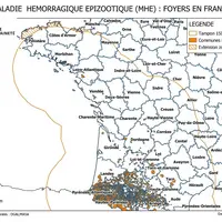Cartographie de la zone réglementée au titre de la MHE en date du 29 décembre 2023.