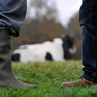 Relations entre éleveurs et industriels laitiers. Dossier de contractualisation. Producteur de lait et représentant de la laiterie. Discussion sur fon