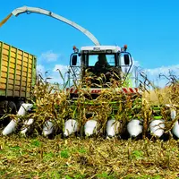 Ensileuse Claas munie d'un cueilleur de maïs de moissonneuse-batteuse. Matériel de récolte du maïs ensilage. Ensilage des épis et rafles.