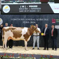 Pensée, grande championne, championne jeune et meilleure mamelle Jeune