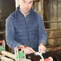 Pour Stéphane Hirrien, il est essentiel de prendre le temps de mesurer le tour des poitrine des génisses.
