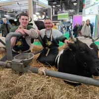 éleveurs bretonne pie noir producteurs gwell
