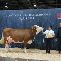 Paella, championne adulte et meilleure mamelle adulte