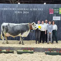 Girly, grande championne