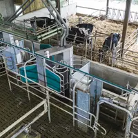 Deux stalles de robot de traite GEA
