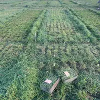 parcelles expérimentales de la ferme des Bordes