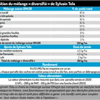 Composition du mélange « diversifié » de Sylvain Tola