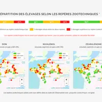 Pour le cru d'ensilages de maïs 2023, 64 % des élevages analysés en nivalénol sont au-dessus du repère zootechnique bas en matière de risque zootechni