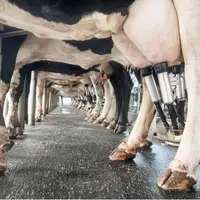 Raccourcir l'intervalle entre les deux traites de la journée revêt de nombreux avantages, notamment en termes d'adaptation des horaires pour le salari
