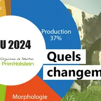 Quels changements de l'ISU prim Holstein ?