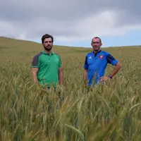 éleveur et son conseiller dans le rhône dans une parcelle de céréales qui ont été pâturées en hiver.
