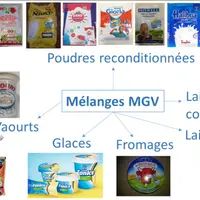 Gamme de produits lactés fabriqués à base de mélange de lait écrémé et de matière grasse végétale en poudre.