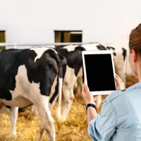 Outils numériques : des projets prometteurs en santé animale à moyen terme