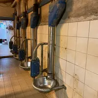 alimentateurs en salle de traite