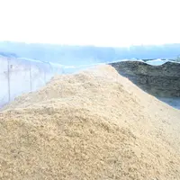 tas de corn gluten feed