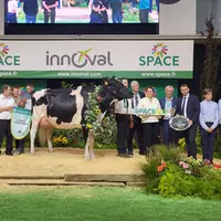 Noe Pensylvani copropriété du Gaec Pom Holstein, Quim Serrabassa, Agriber et Triangle Holstein (35)