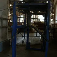 cage de parage pour vache laitière