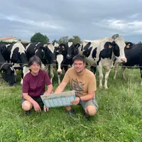 éleveur calendrier vaches laitières