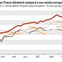 Graphique sur l'évolution des prix des vaches de réforme notée O, dans 4 pays de l'UE : France, Allemagne, Irlande e