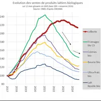 graphique sur l'évolution des ventes de produits laitiers bio en grande distribution généraliste.