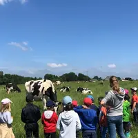 Agro-tourisme avec visite d'une ferme pédagogique en lait avec un groupe scolaire.