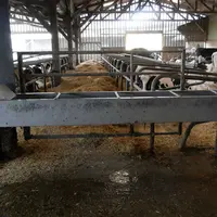 <em class="placeholder">abreuvoir en stabulation de vaches laitières</em>