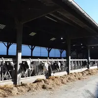 « Le rideau s’ouvre du haut vers le bas. Cela donne la possibilité de laisser une ouverture en haut, pour la ventilation natur