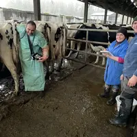 <em class="placeholder">Jennifer et Damien Herpin, éleveurs de vaches laitières  avec leur vétérinaire Christophe Bailly pendant un suivi repro. </em>