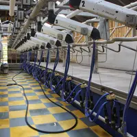 La salle de traite, une 2x16 en simple équipement, est  lumineuse et ergonomique. Elle permet de traire 105 vaches en 1 h (hor